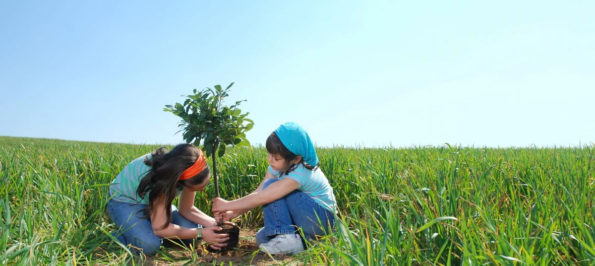 Small changes make a big impact on climate change