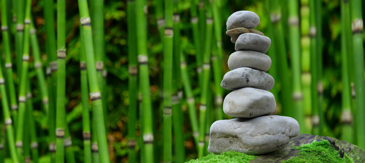 Guest Blog: Waste and Sustainability in Dentistry, by Dr. Amanda Hoffmeister, DDS