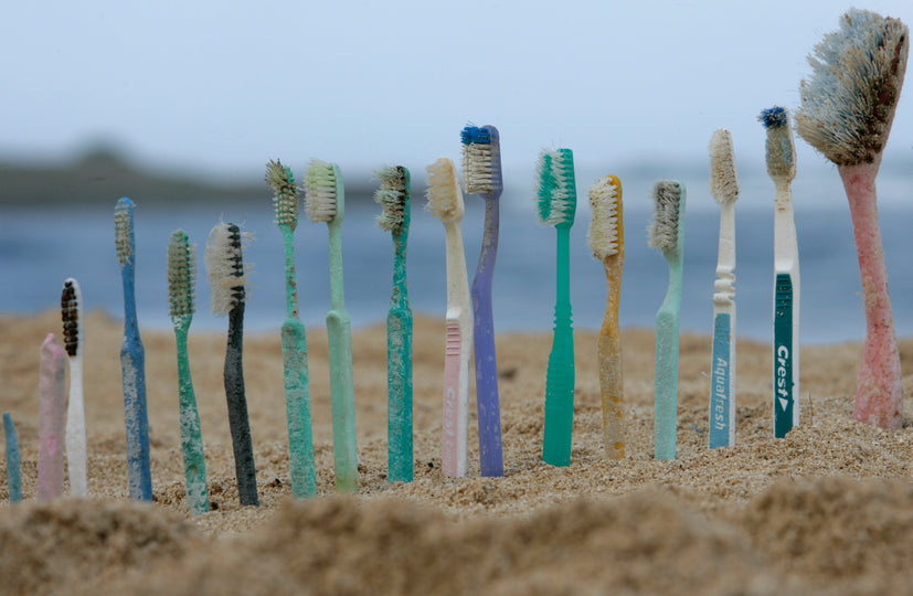 Rethinking Sustainability in Oral Care