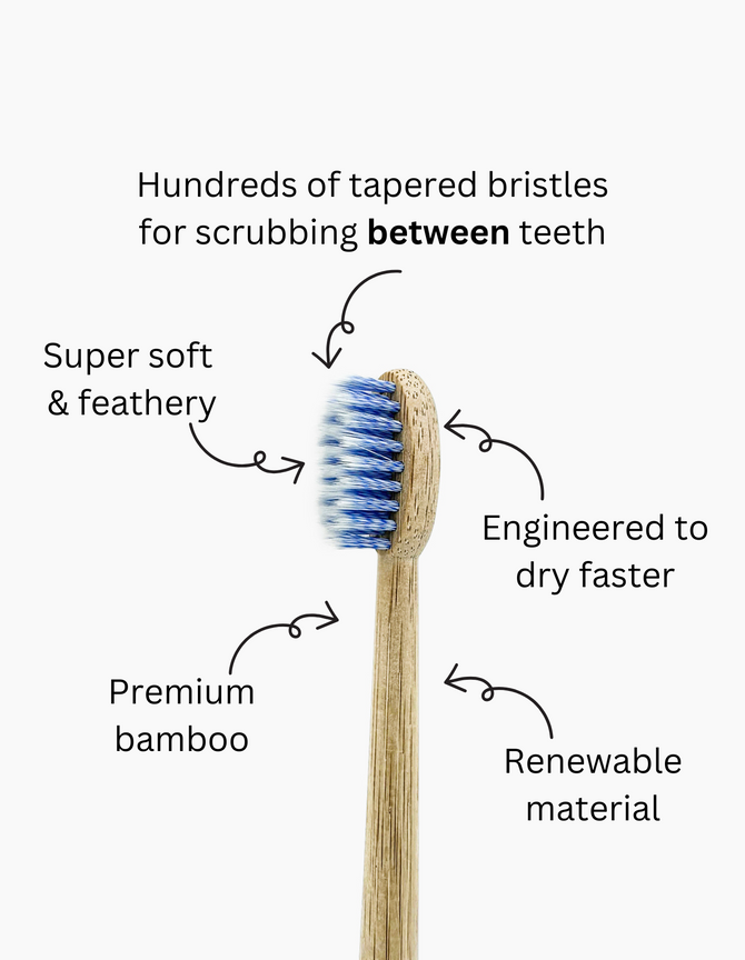 A close-up of a bamboo toothbrush with soft, tapered bristles, annotated with key features: 
