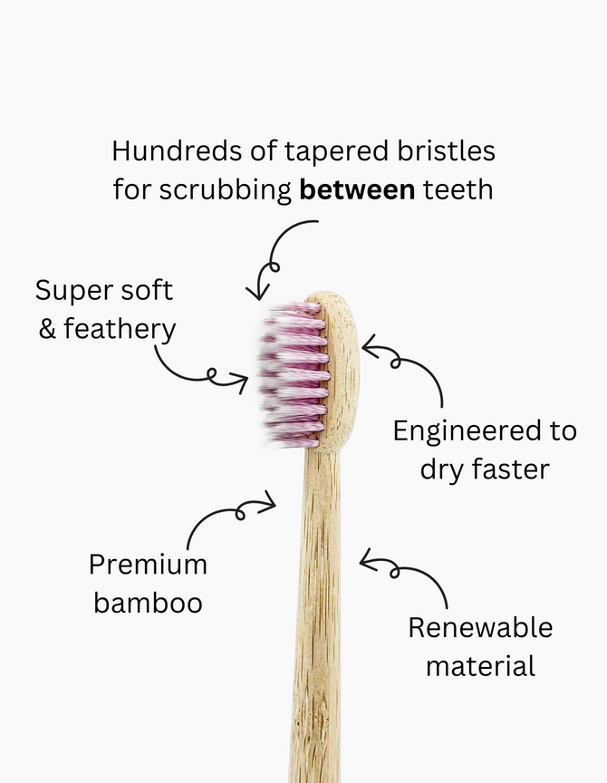 A close-up of a bamboo toothbrush with soft, tapered bristles, annotated with key features: 